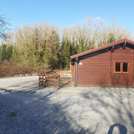 Red Squirrel Lodge Голуэй Экстерьер фото