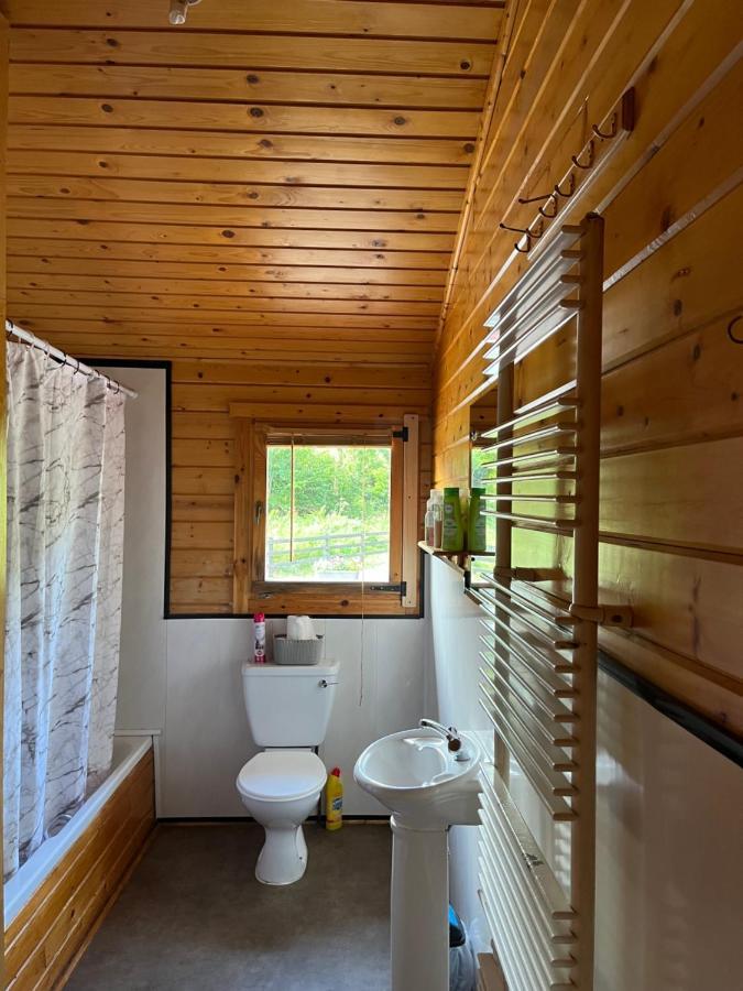 Red Squirrel Lodge Голуэй Экстерьер фото