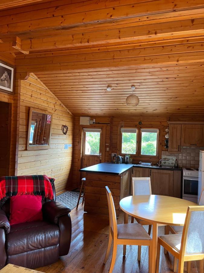Red Squirrel Lodge Голуэй Экстерьер фото