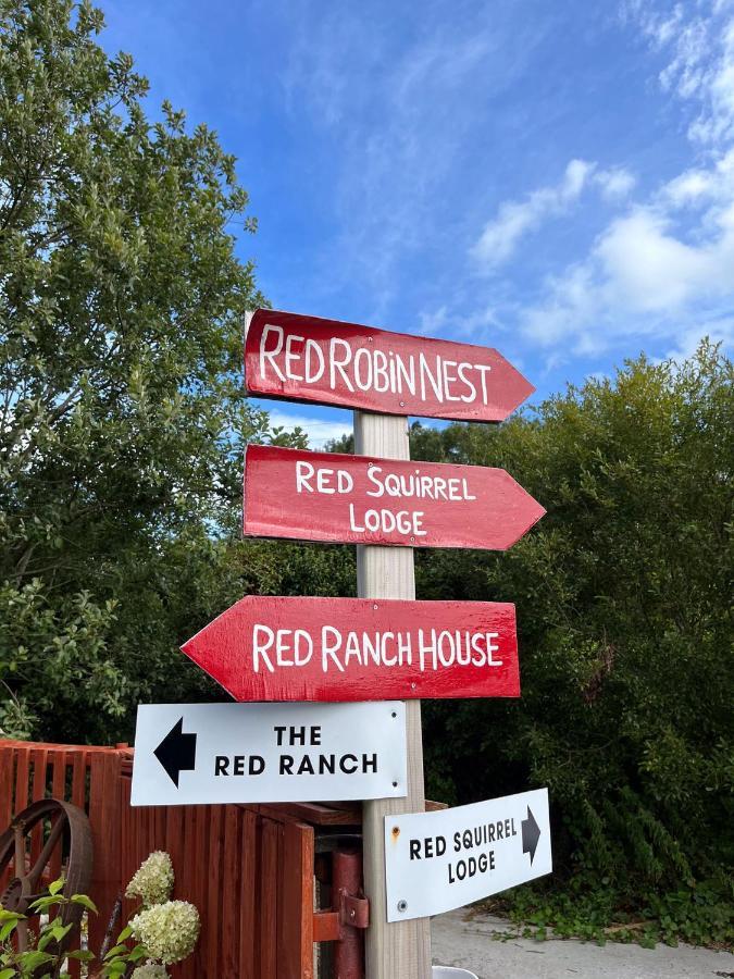 Red Squirrel Lodge Голуэй Экстерьер фото