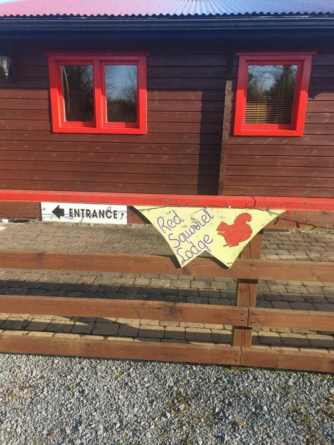 Red Squirrel Lodge Голуэй Экстерьер фото
